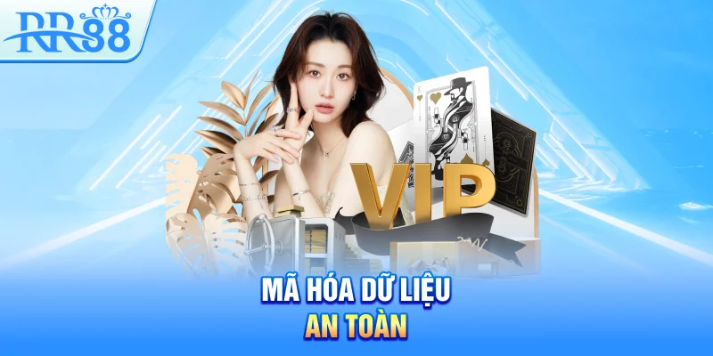Chính Sách Bảo Mật RR88 – Cam Kết Minh Bạch Và Uy Tín 2 Mã hóa dữ liệu an toàn