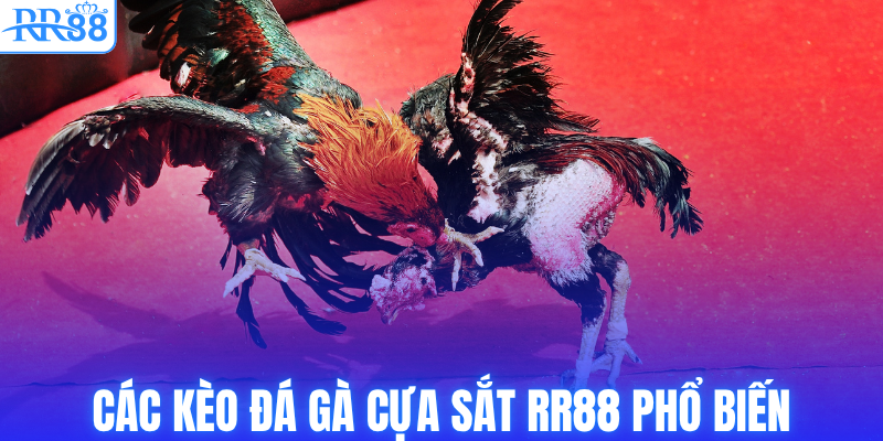 Đá Gà Cựa Sắt RR88 - Nơi Những Chiến Kê Phô Diễn Sức Mạnh 3 Các kèo đá gà cựa sắt RR88 phổ biến