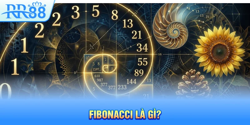 Fibonacci Là Gì? – Chiến Thuật Quản Lý Vốn Bất Bại Tại RR88 2026 3 Chiến thuật thuần hóa dãy số Fibonacci trong các game