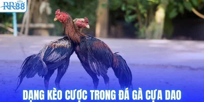 Đá Gà Cựa Dao | Tổng Hợp Kinh Nghiệm Cược Bất Bại Từ RR88 3 Dạng kèo cược trong đá gà cựa dao