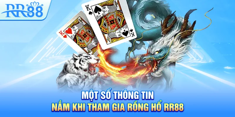 Rồng Hổ RR88 – Phương Pháp Chơi Chuẩn Xác Từ A- Z Cho Mọi Thành Viên 3 Một số thông tin cần nắm khi tham gia Rồng Hổ RR88