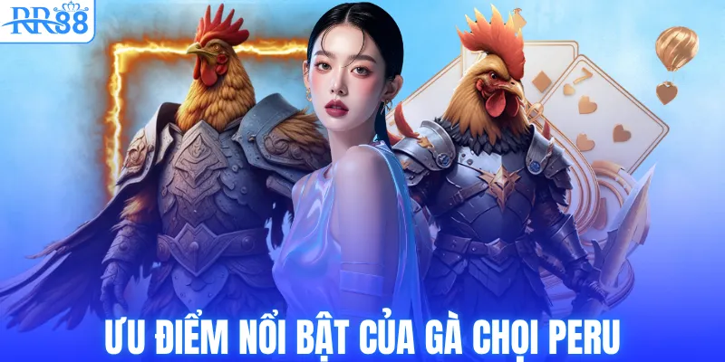 Gà Chiến Peru – Dòng Chiến Kê Tốc Độ Được Săn Đón Tại RR88 3 Ưu điểm siêu nổi bật của gà chọi Peru
